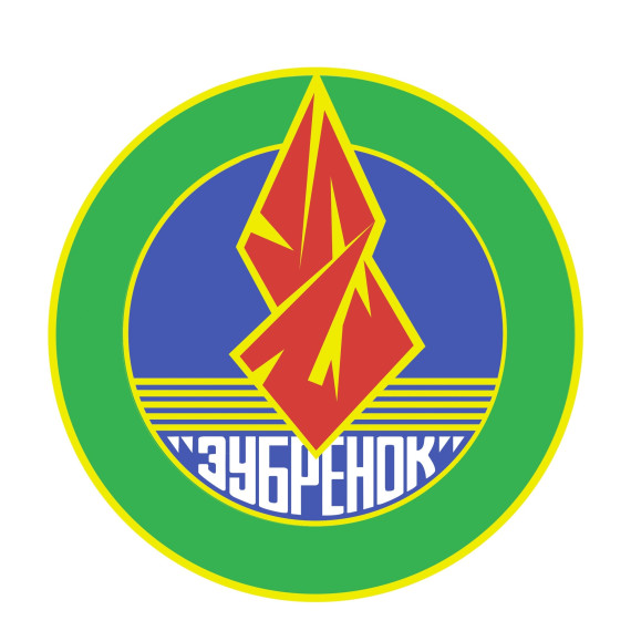 Результаты олимпиады «Зубрёнок».